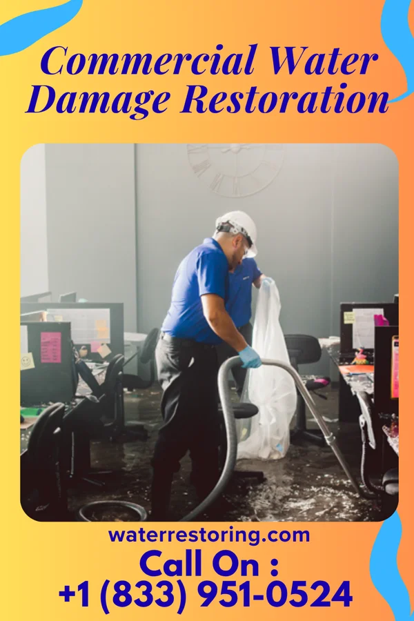 Commercial Water Damage Restoration in Holly, CO