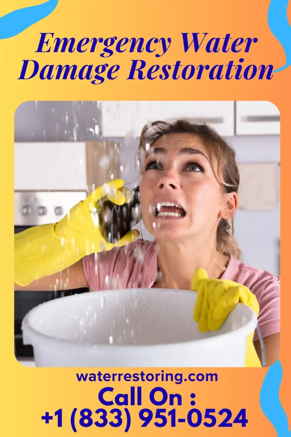 Emergency Water Damage Restoration in Holly, CO
