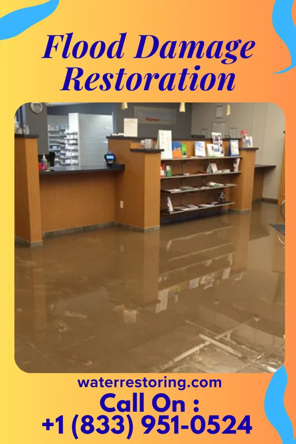 Flood Damage Restoration in Holly, CO